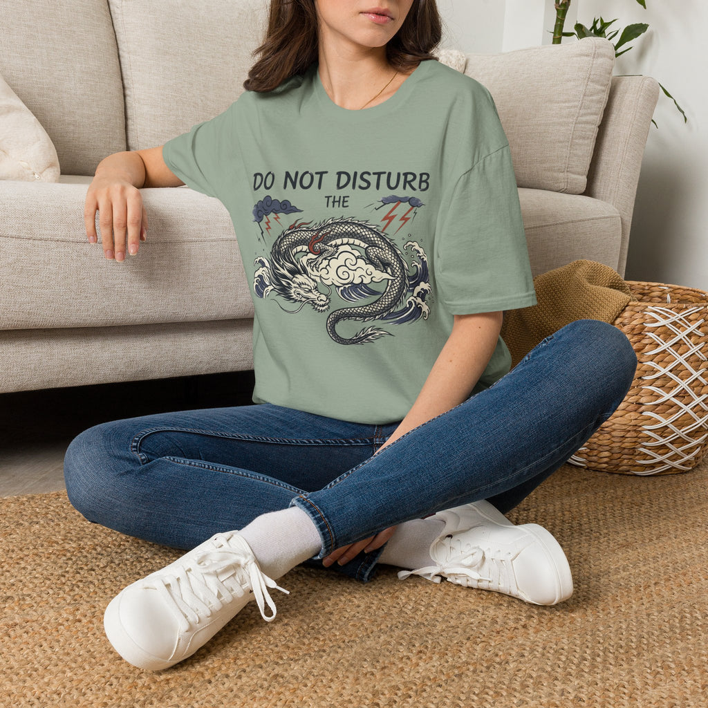 Do not Disturb the Dragon T-Shirt