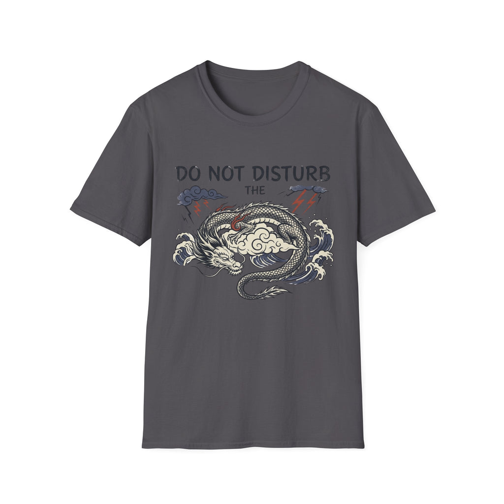 Do not Disturb the Dragon T-Shirt